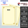 A4 Certificate Gold Stamping B20 -100's – Malaysia Online office supply prostat.com.my