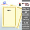 A4 Certificate Gold Stamping B25 -100's – Malaysia Online office supply prostat.com.my