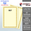 A4 Certificate Gold Stamping B27 -100's – Malaysia Online office supply prostat.com.my