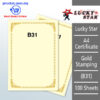A4 Certificate Gold Stamping B31 -100's – Malaysia Online office supply prostat.com.my