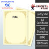 A4 Certificate Gold Stamping B34 -100's – Malaysia Online office supply prostat.com.my
