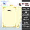 A4 Certificate Gold Stamping B36 -100's – Malaysia Online office supply prostat.com.my