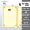 A4 Certificate Gold Stamping B37 -100's – Malaysia Online office supply prostat.com.my