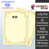 A4 Certificate Gold Stamping B38 -100's – Malaysia Online office supply prostat.com.my