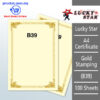 A4 Certificate Gold Stamping B43 -100's – Malaysia Online office supply prostat.com.my