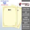 A4 Certificate Gold Stamping B41 -100's – Malaysia Online office supply prostat.com.my