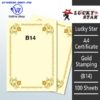 Shop A4 Certificate Paper With Gold Stamping B14 Online at prostat.com.my to Enjoy Discount Prices. Lowest Price One Stop Online Office Stationery Supplier